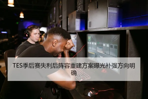 TES季后赛失利后阵容重建方案曝光补强方向明确