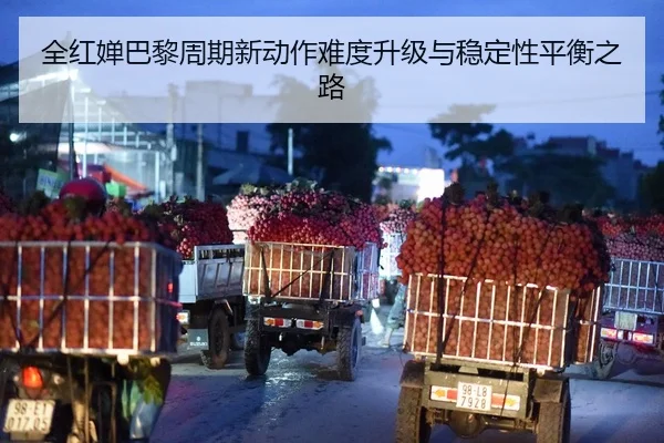 全红婵巴黎周期新动作难度升级与稳定性平衡之路